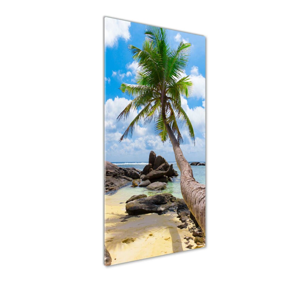 Tableau verre acrylique Plage exotique