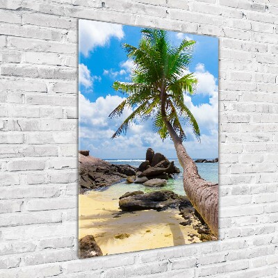 Tableau verre acrylique Plage exotique