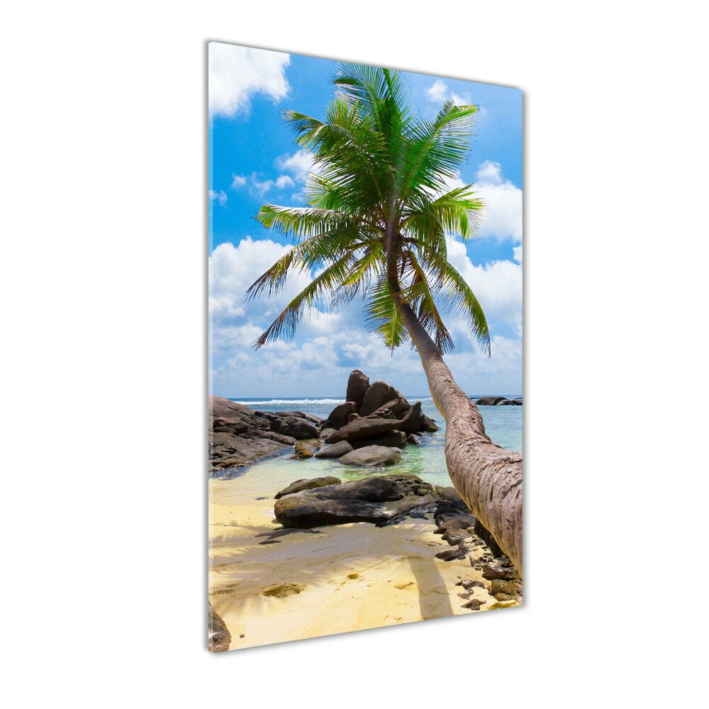 Tableau verre acrylique Plage exotique