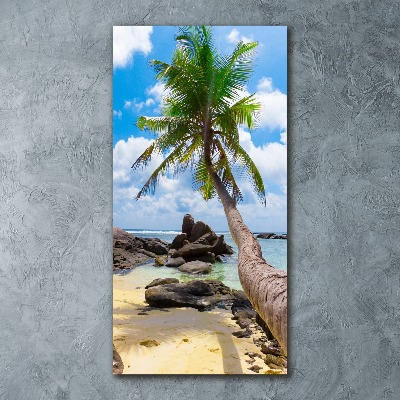 Tableau verre acrylique Plage exotique