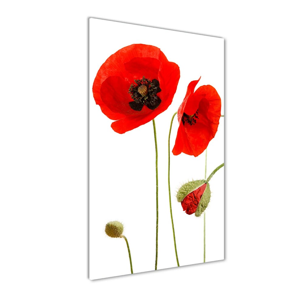 Acrylique tableau Fleurs de coquelicots rouges