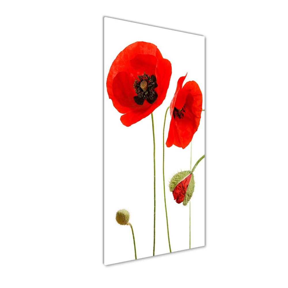 Acrylique tableau Fleurs de coquelicots rouges