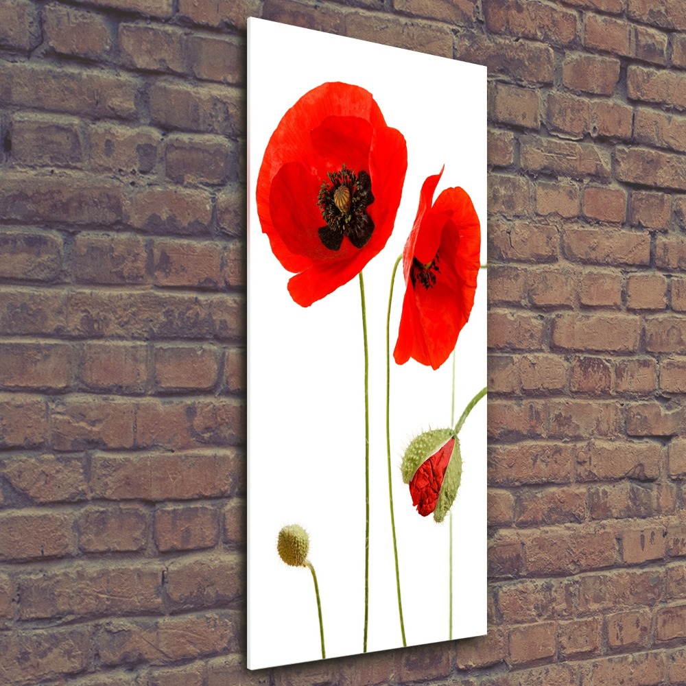 Acrylique tableau Fleurs de coquelicots rouges