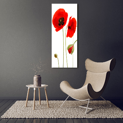 Acrylique tableau Fleurs de coquelicots rouges