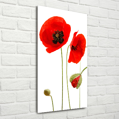 Acrylique tableau Fleurs de coquelicots rouges