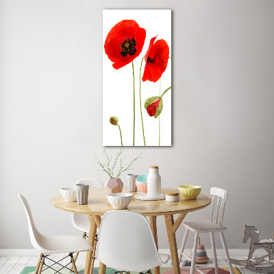 Acrylique tableau Fleurs de coquelicots rouges