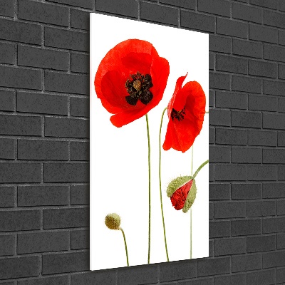 Acrylique tableau Fleurs de coquelicots rouges