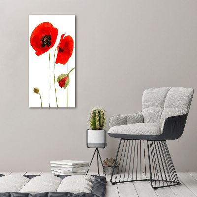 Acrylique tableau Fleurs de coquelicots rouges