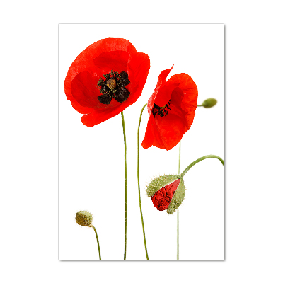 Acrylique tableau Fleurs de coquelicots rouges