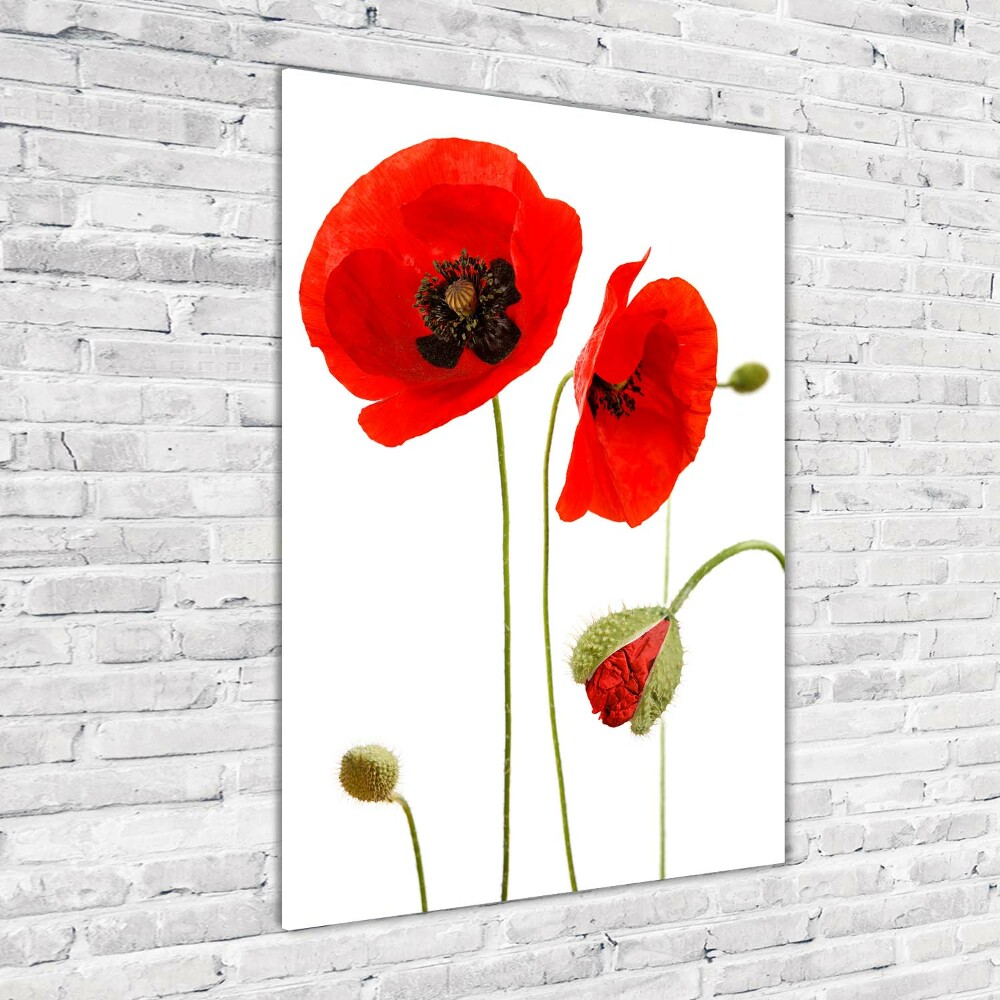 Acrylique tableau Fleurs de coquelicots rouges