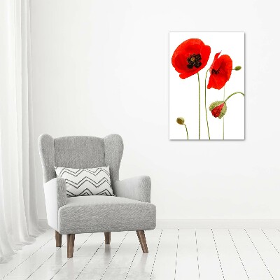 Acrylique tableau Fleurs de coquelicots rouges