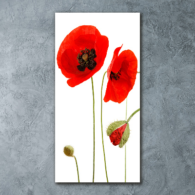 Acrylique tableau Fleurs de coquelicots rouges