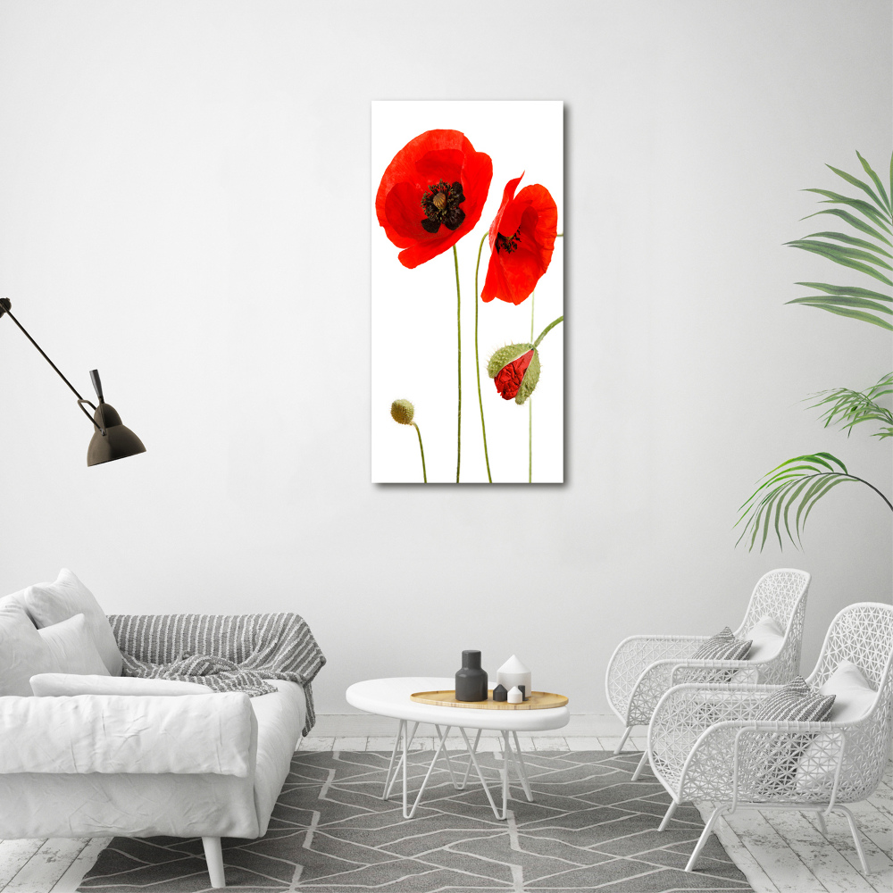 Acrylique tableau Fleurs de coquelicots rouges