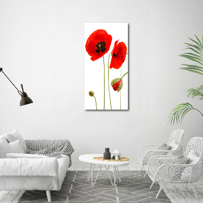 Acrylique tableau Fleurs de coquelicots rouges