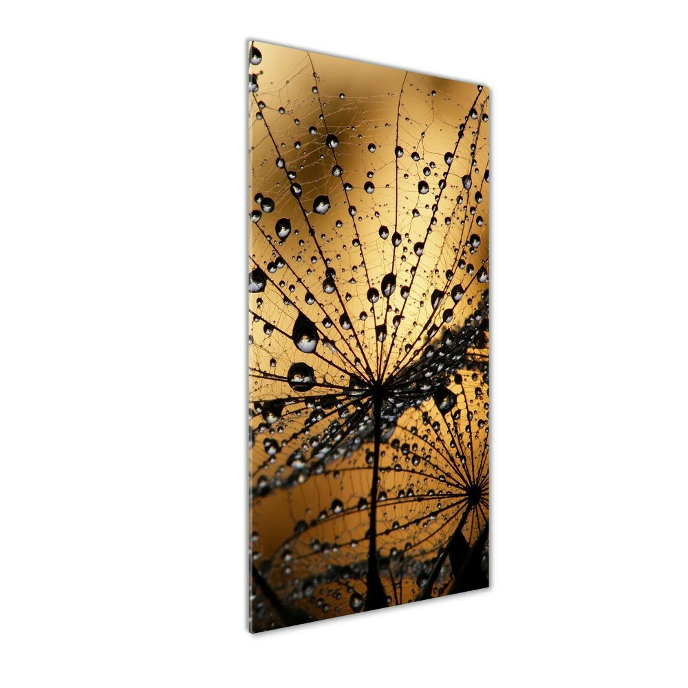 Tableau verre acrylique Graines de souffleur