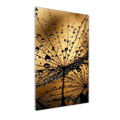 Tableau verre acrylique Graines de souffleur