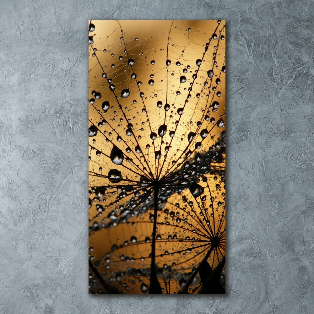 Tableau verre acrylique Graines de souffleur