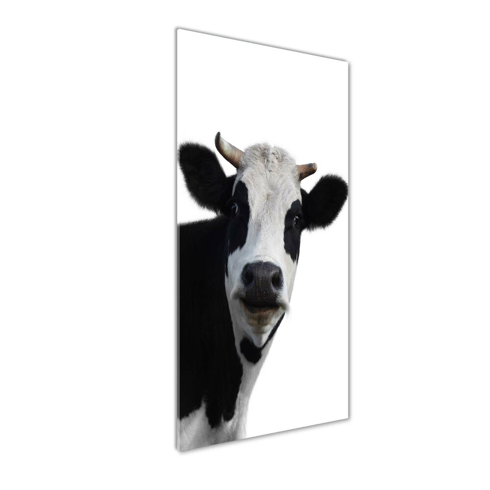 Tableau verre acrylique Vache latine