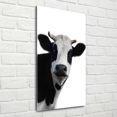 Tableau verre acrylique Vache latine