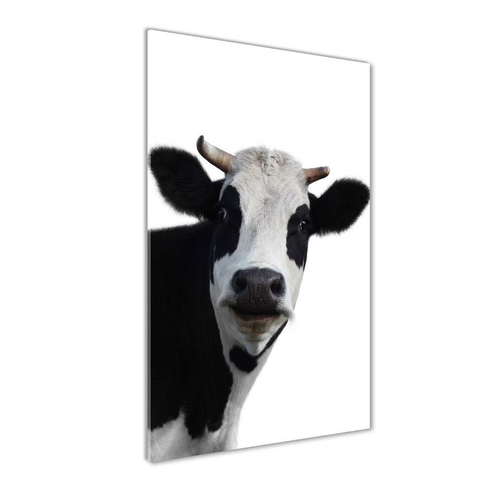 Tableau verre acrylique Vache latine