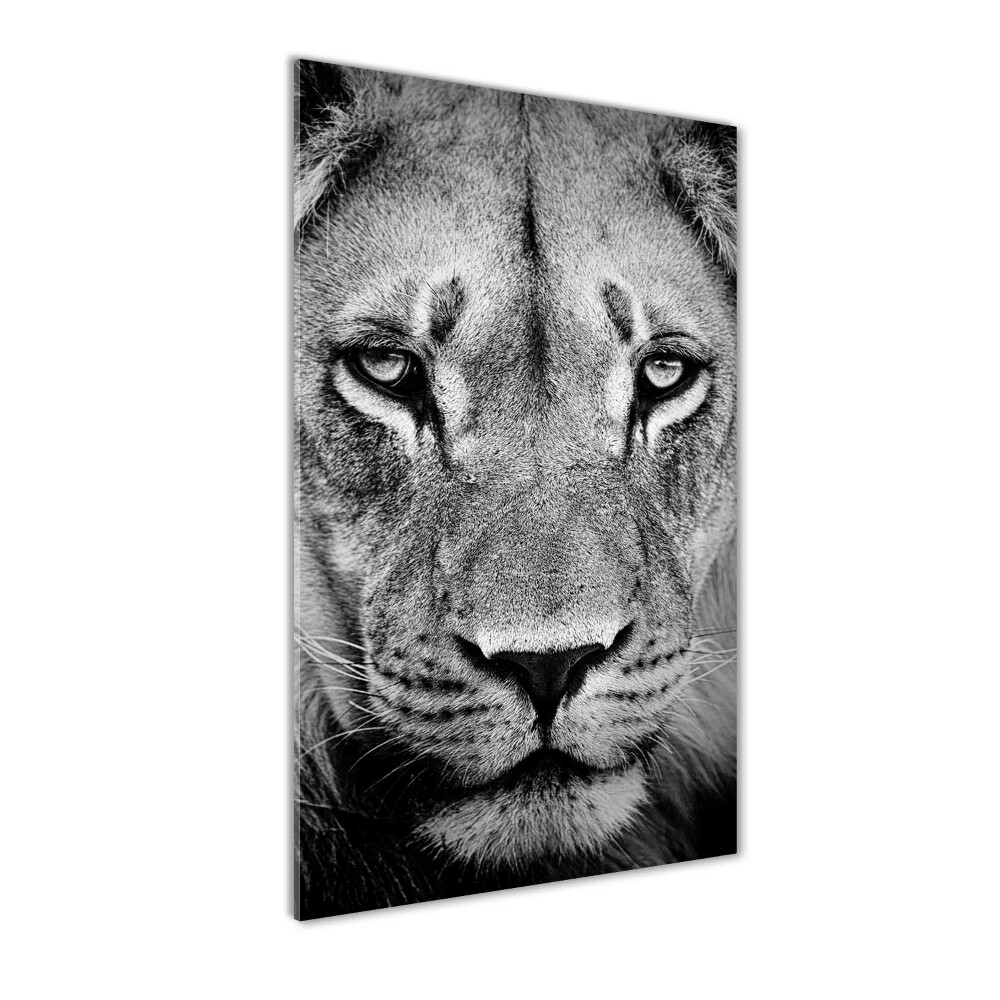 Tableau sur verre acrylique Portrait de lion