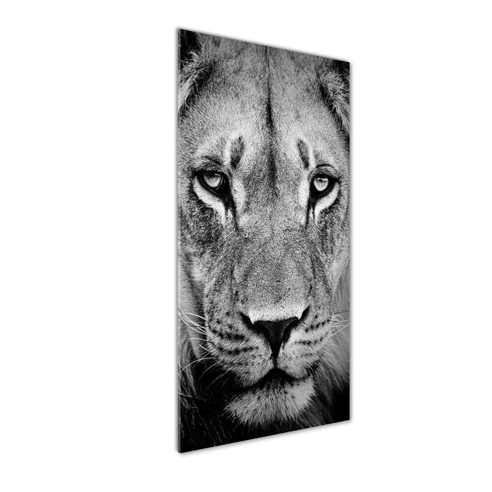 Tableau sur verre acrylique Portrait de lion