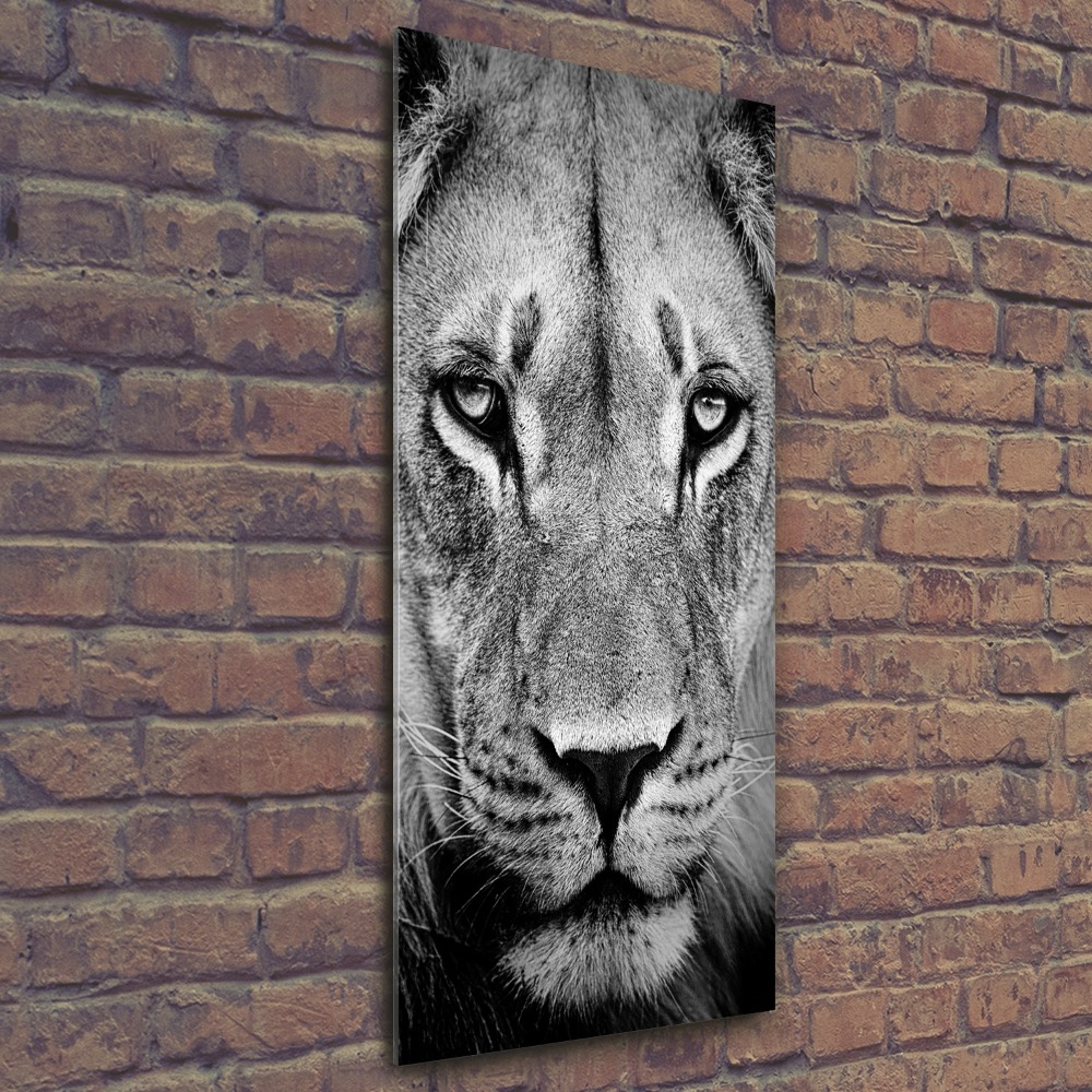 Tableau sur verre acrylique Portrait de lion