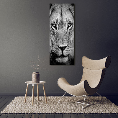 Tableau sur verre acrylique Portrait de lion