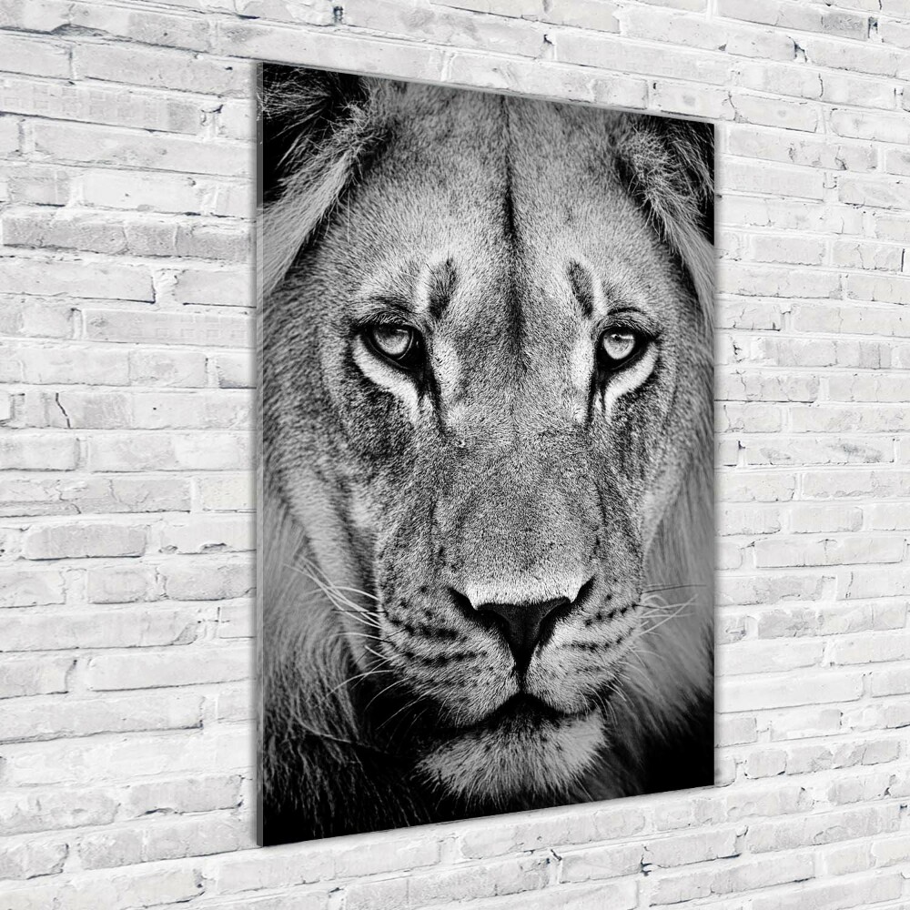 Tableau sur verre acrylique Portrait de lion