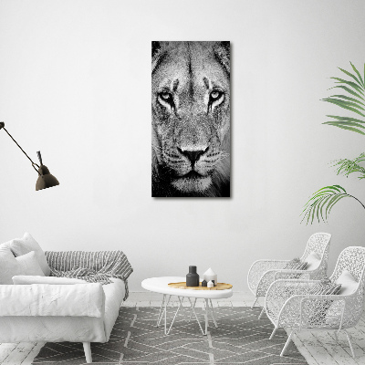 Tableau sur verre acrylique Portrait de lion