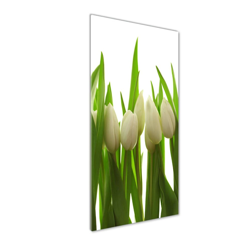 Tableau verre acrylique Tulipes blanches