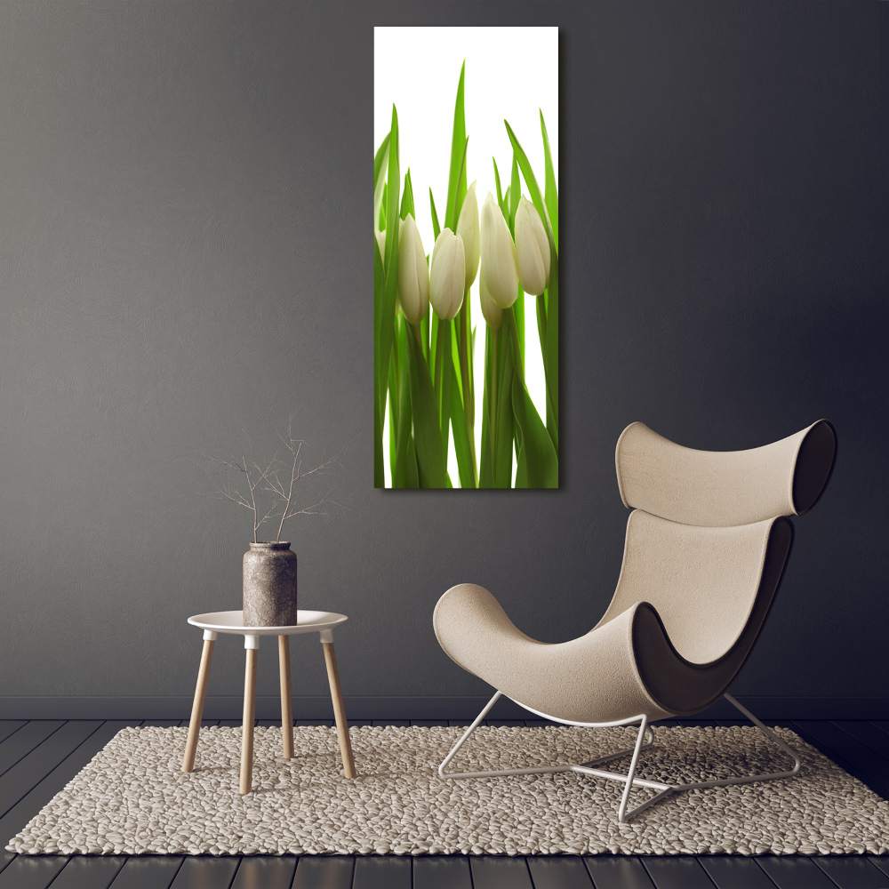 Tableau verre acrylique Tulipes blanches