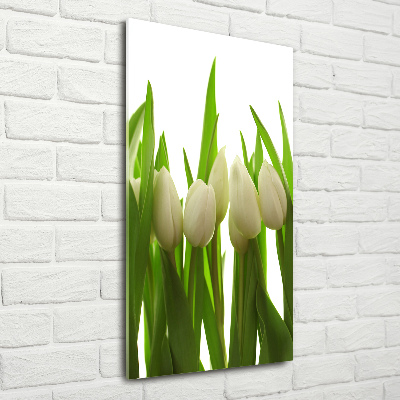 Tableau verre acrylique Tulipes blanches