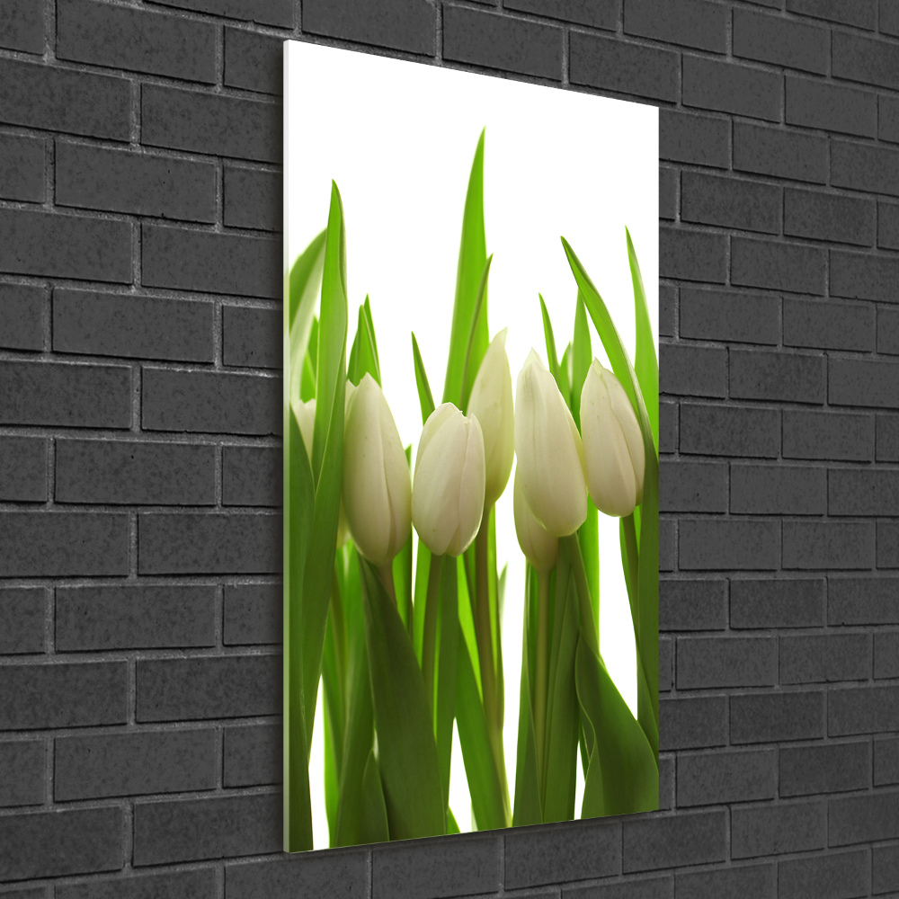 Tableau verre acrylique Tulipes blanches