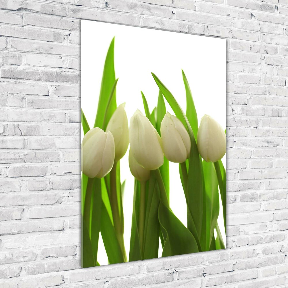 Tableau verre acrylique Tulipes blanches