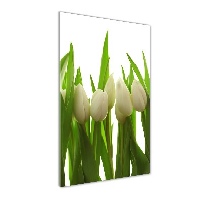 Tableau verre acrylique Tulipes blanches