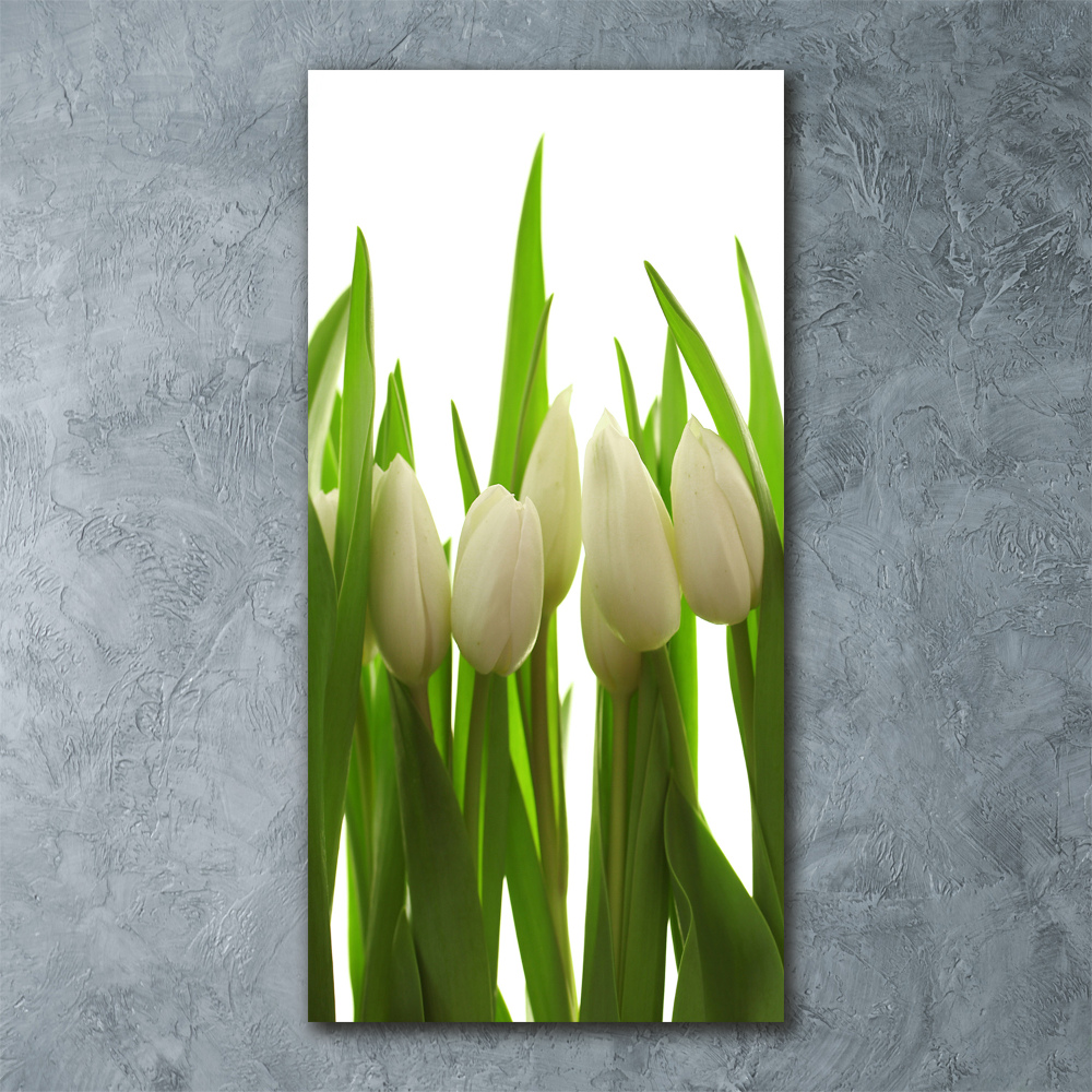 Tableau verre acrylique Tulipes blanches