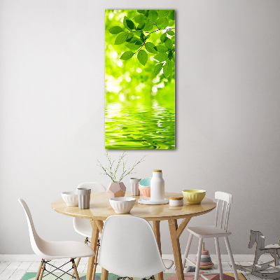 Tableau en acrylique Feuille verte