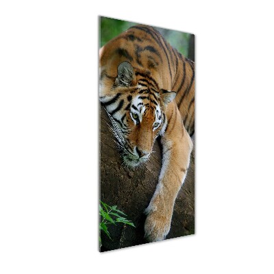 Tableau acrylique Tigre dans un arbre