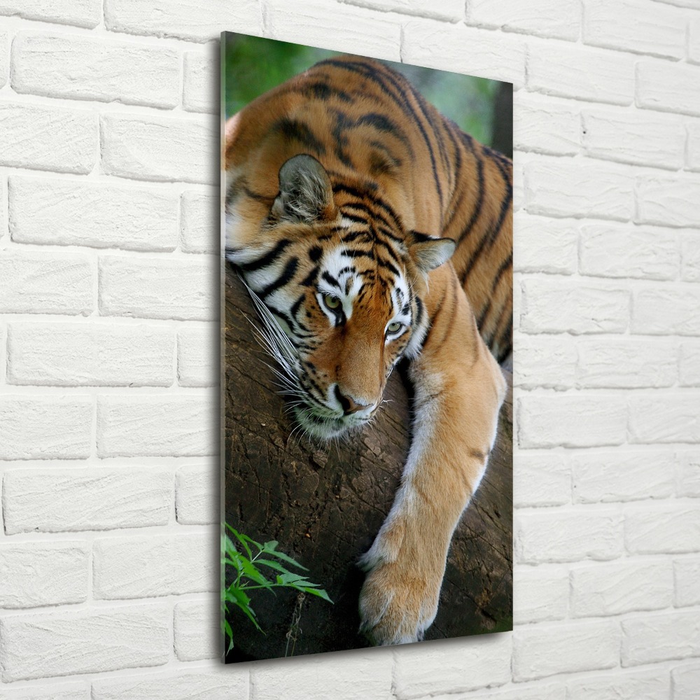 Tableau acrylique Tigre dans un arbre