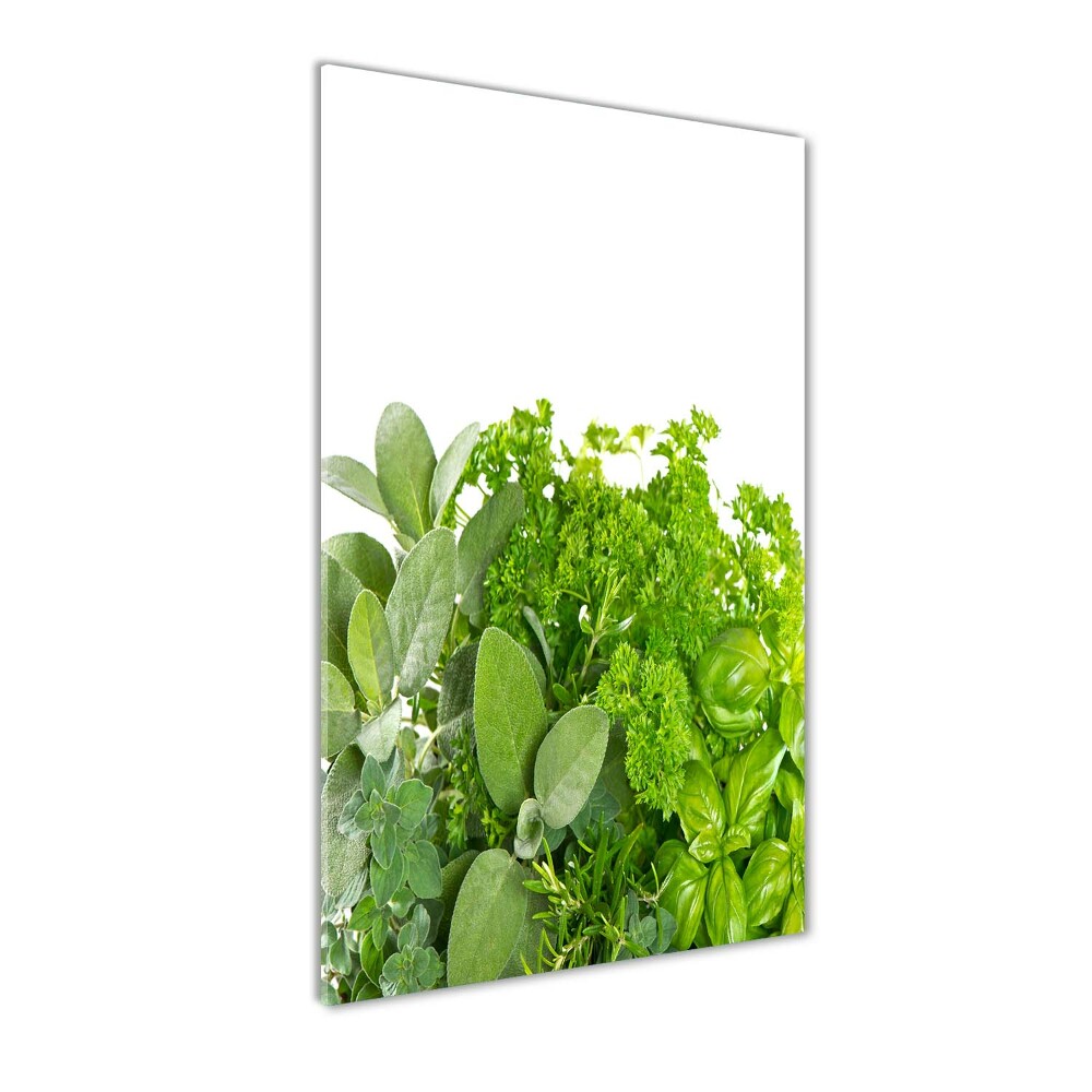 Tableau verre acrylique Herbes aromatiques