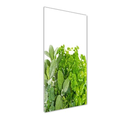 Tableau verre acrylique Herbes aromatiques