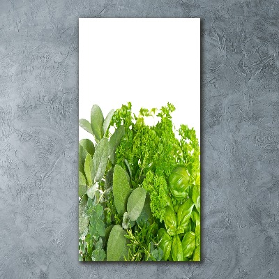 Tableau verre acrylique Herbes aromatiques