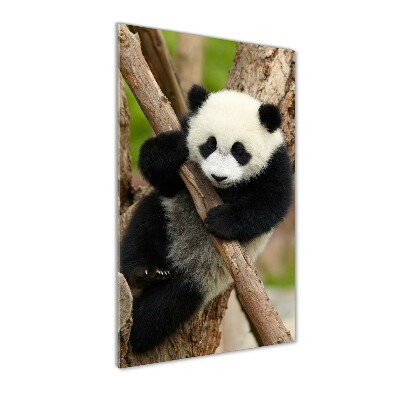 Tableau acrylique Panda dans un arbre