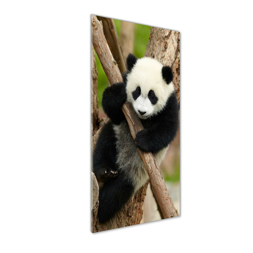 Tableau acrylique Panda dans un arbre