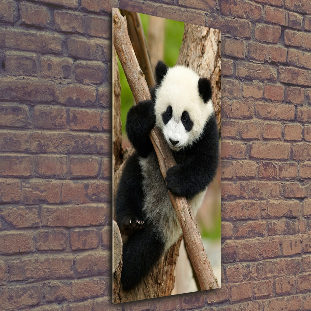 Tableau acrylique Panda dans un arbre