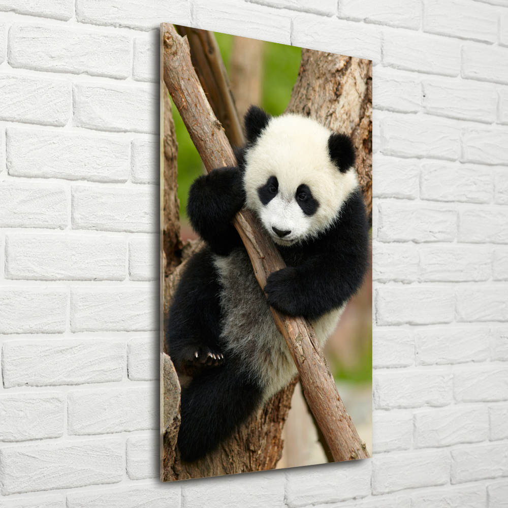 Tableau acrylique Panda dans un arbre