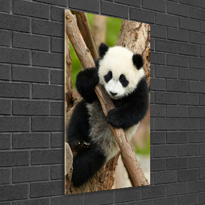 Tableau acrylique Panda dans un arbre