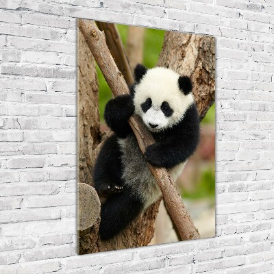 Tableau acrylique Panda dans un arbre