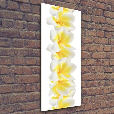 Tableau en acrylique Plumeria